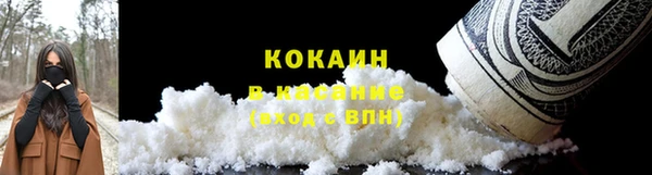 трава Туринск