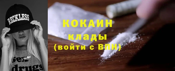 трава Туринск
