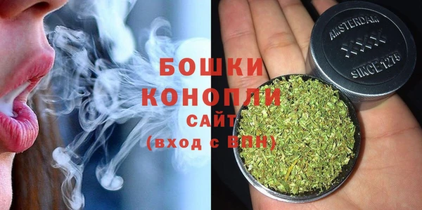 трава Туринск
