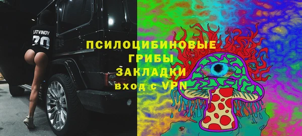 трава Туринск