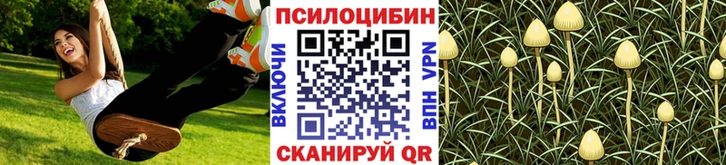 гидра Тула Псилоцибиновые грибы мухоморы